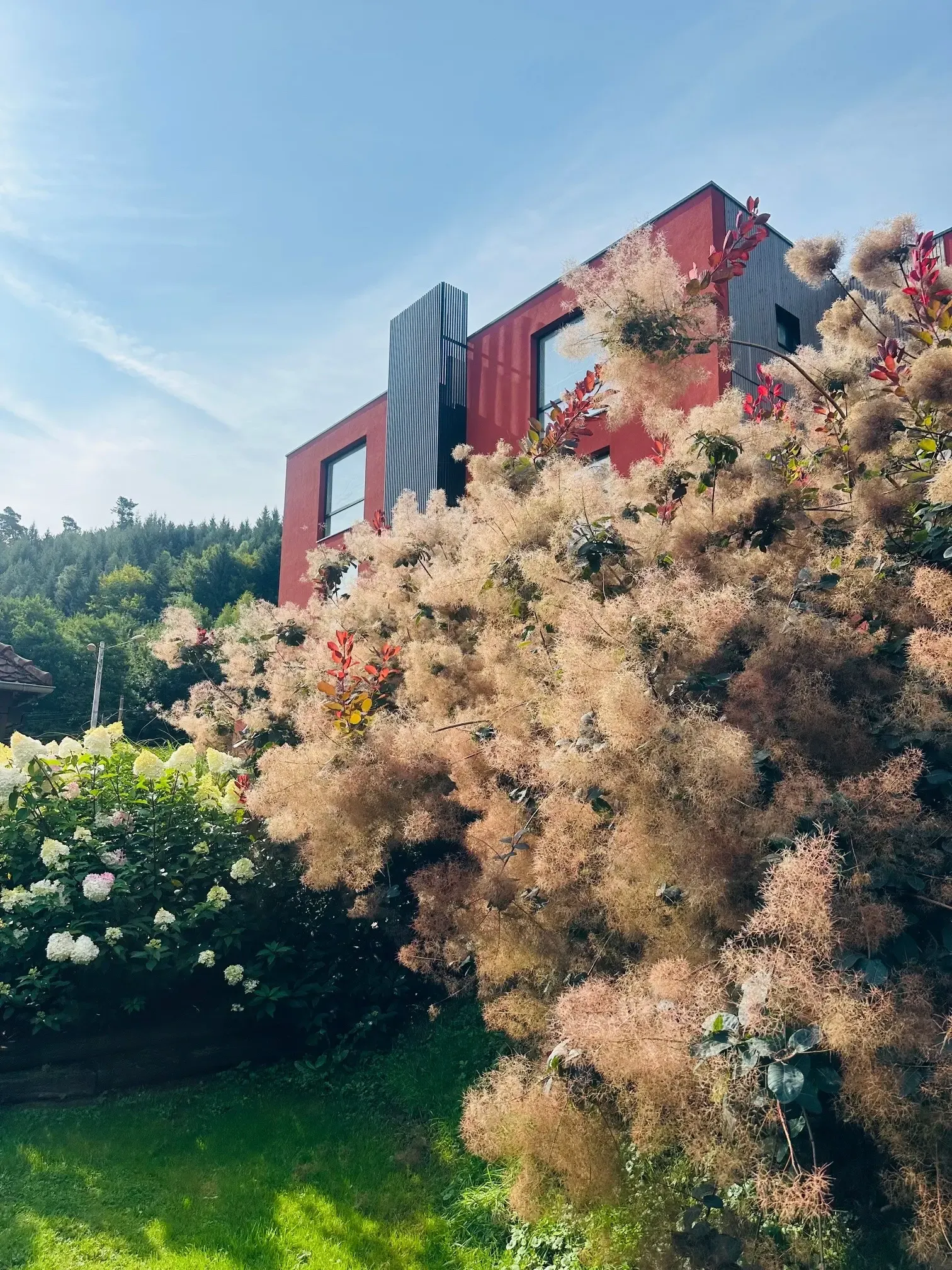 Modern red house with large windows, surrounded by lush and flowering vegetation, on a sloping plot with trees in the background.