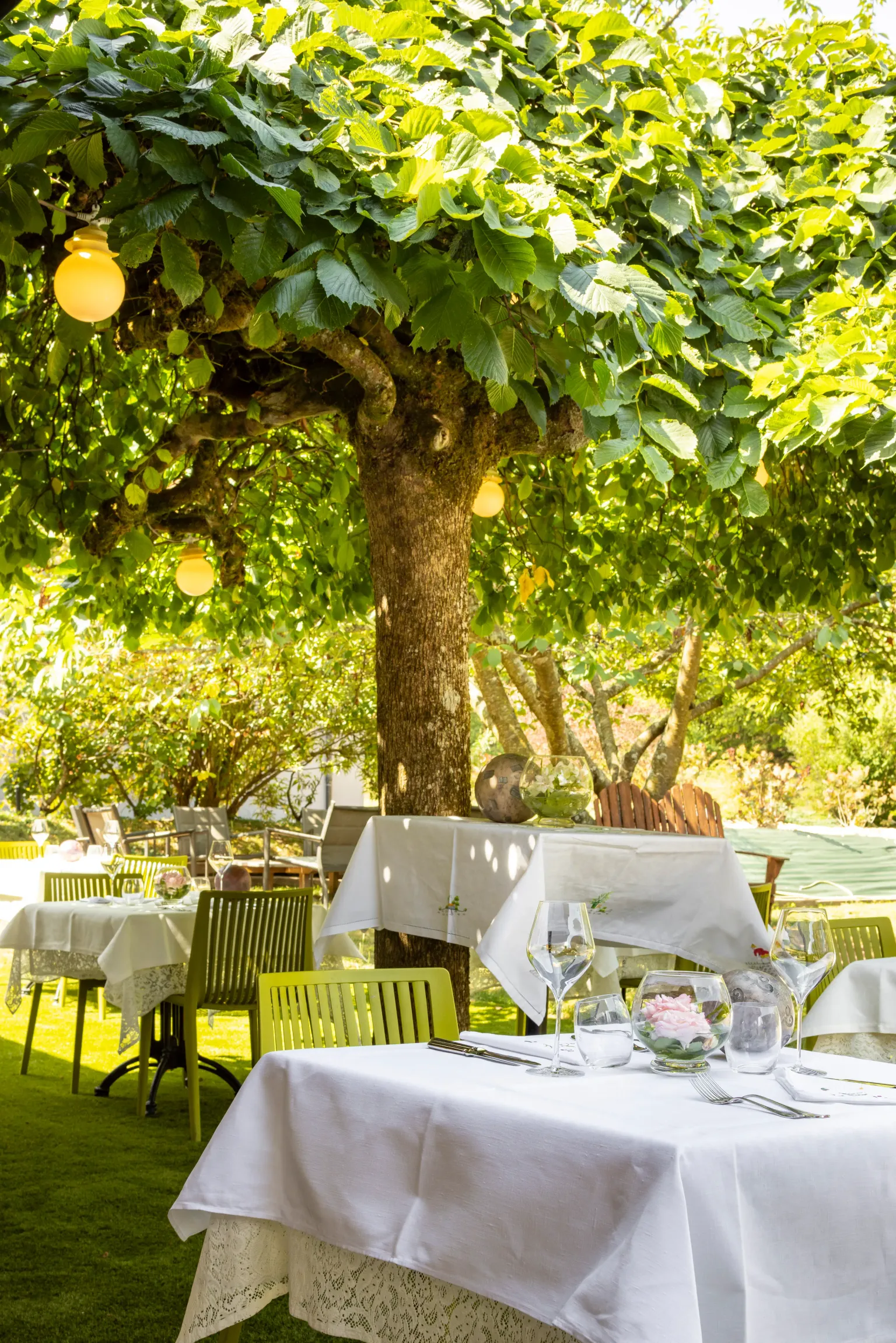 A table set under a green-leaved tree, surrounded by chairs, in a garden with other similar tables.