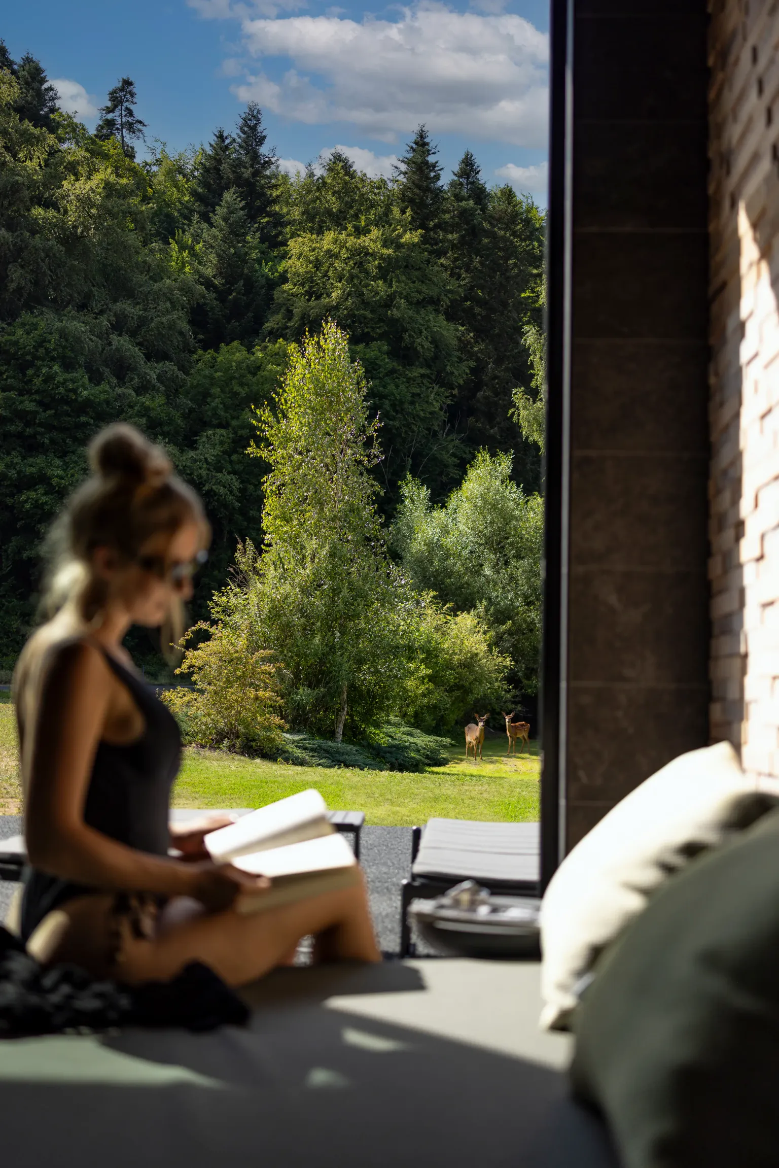 Eine Person liest im Inneren ein Buch mit Blick auf zwei Hirsche in einem baumbestandenen Garten.