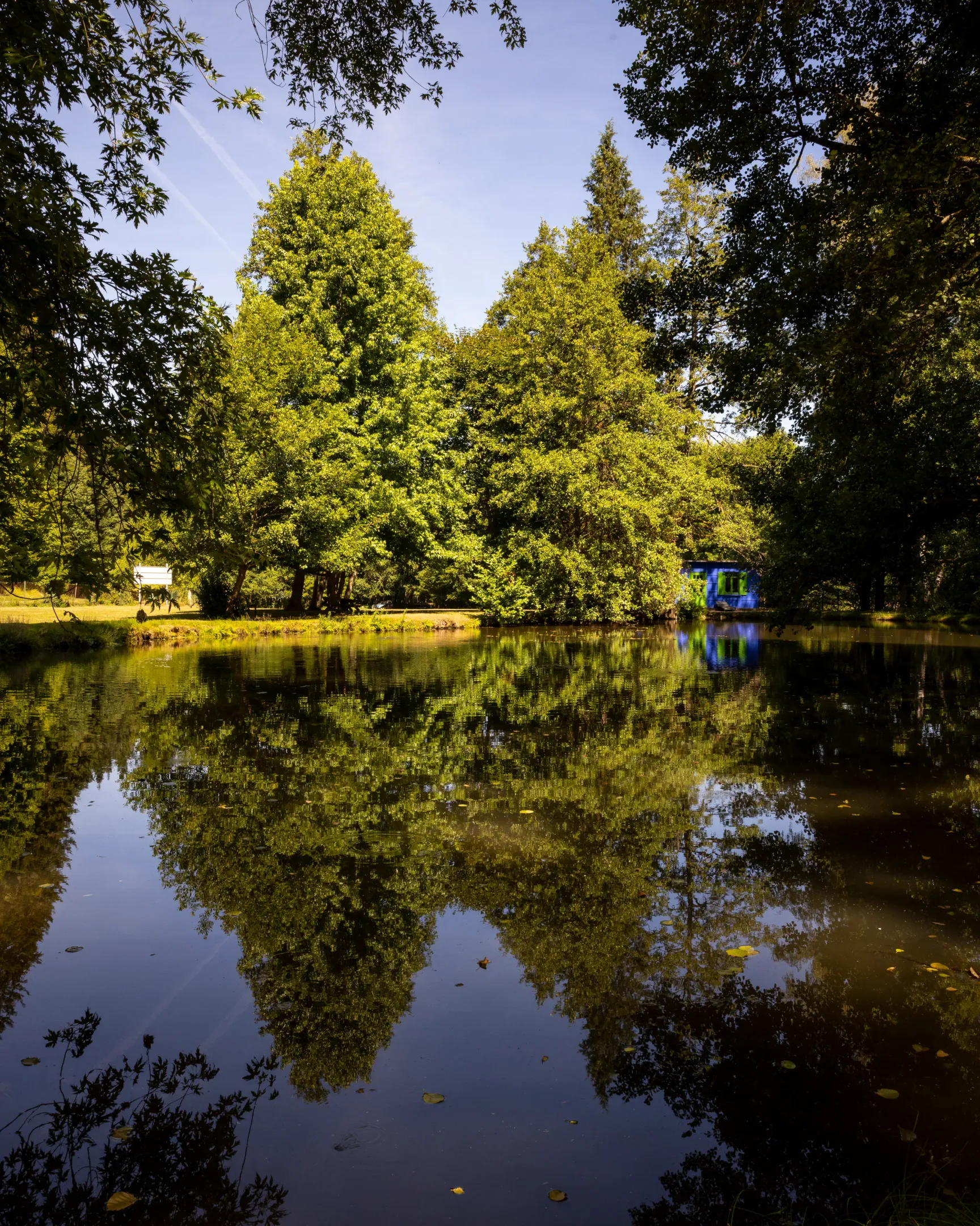 Ein Teich spiegelt die Bäume und den Himmel wider, mit sichtbaren Strukturen im Hintergrund