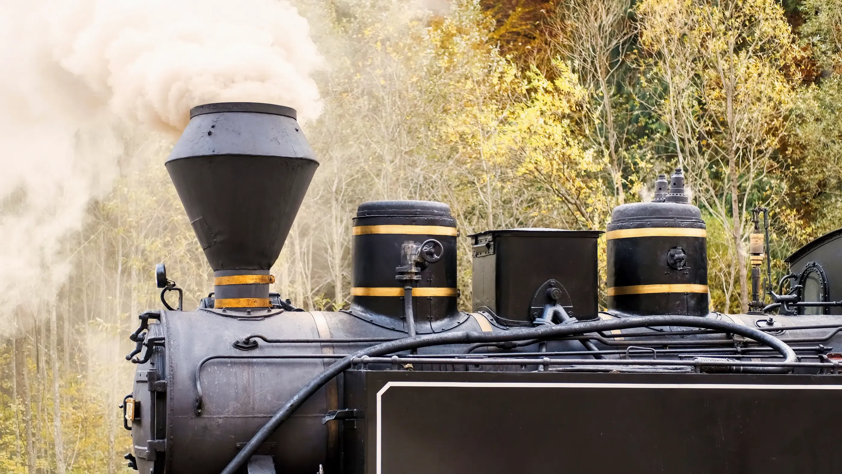 Locomotive à vapeur émettant de la fumée, avec des réservoirs et des tuyaux visibles, dans un environnement boisé